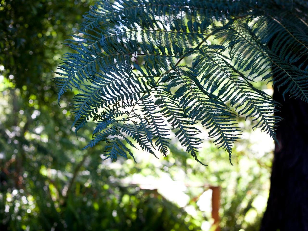 Andelomi Nature'S Rest Stormsrivier Buitenkant foto