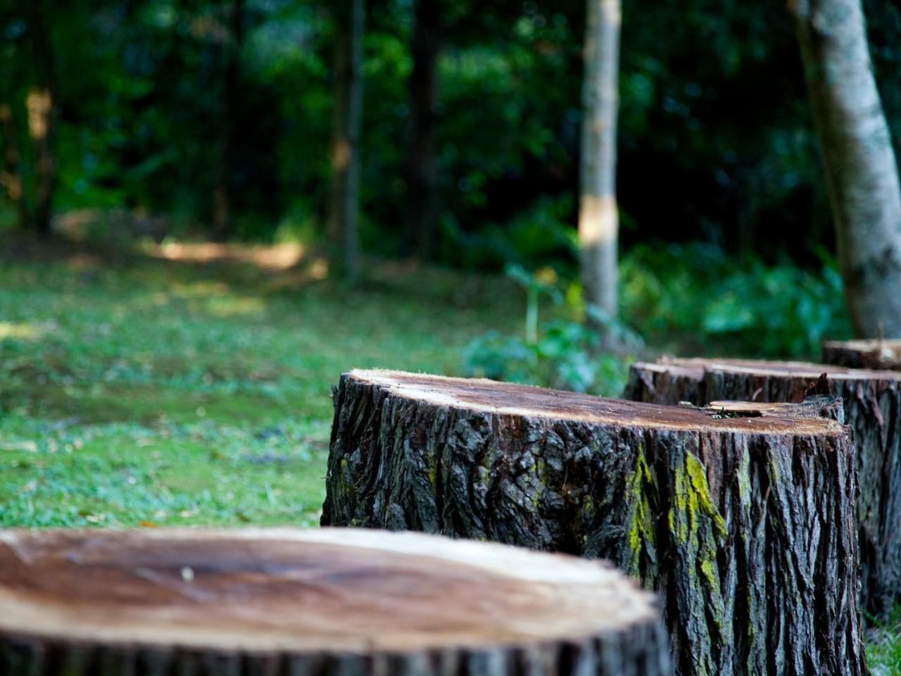 Andelomi Nature'S Rest Stormsrivier Buitenkant foto